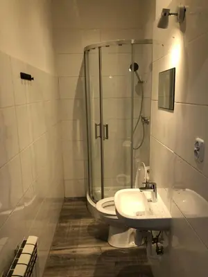 a bathroom with a shower and a toilet and a sink at Wąsik in Kraków