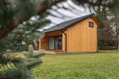 a small wooden house in a field with a tree at Domek Komfort w górach przy Parku in Rabka