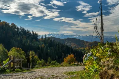 a road in the mountains with mountains in the background at Górna Chata Mountains Chalet in Ochotnica Górna