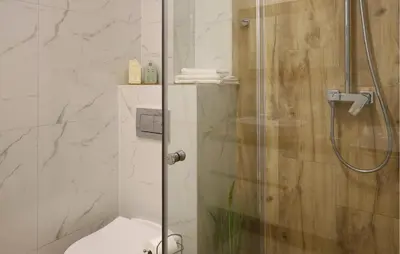 a bathroom with a glass shower with a toilet at Cozy Apartment In Zator With Wifi in Zator
