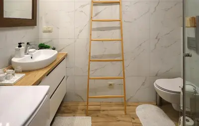 a bathroom with a ladder next to a toilet and a sink at Cozy Apartment In Zator With Wifi in Zator