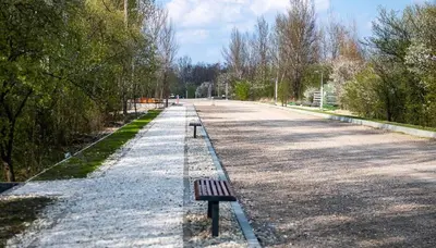 a bench sitting in the middle of a road at Apartament Park Zakrzowek in Kraków
