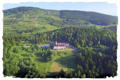an aerial view of a house in the middle of a forest at Karmelitański Dom Gościnny in Zawoja